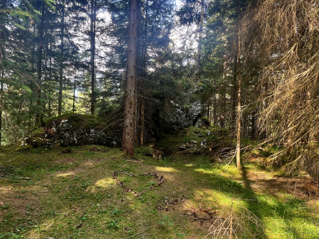 Unser erster Stopp bei der Yoga-Wanderung: Eine kleine Lichtung mit hohen Fichten