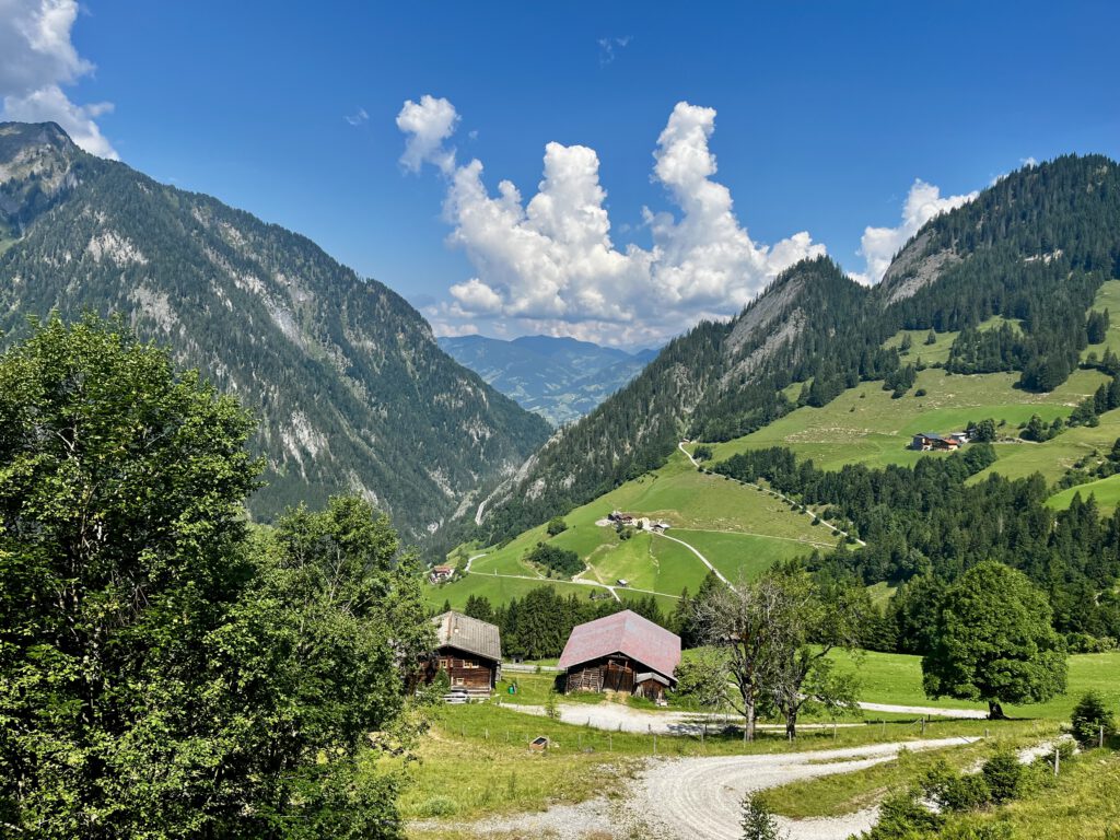 Blick ins Großarltal