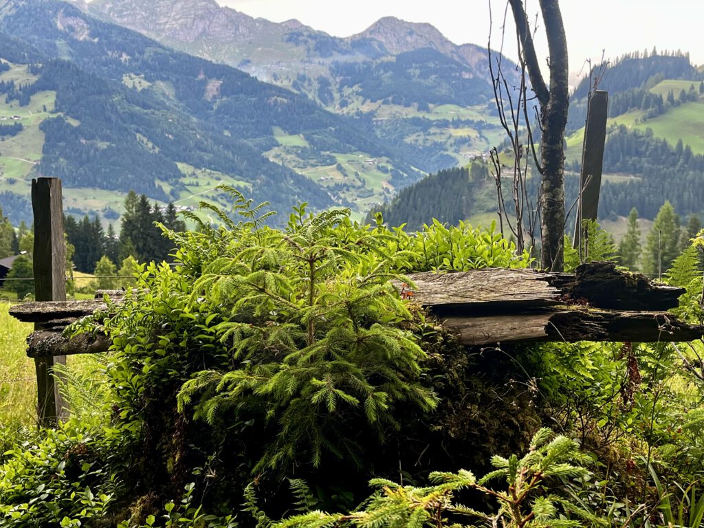 Ausblick ins Großarltal