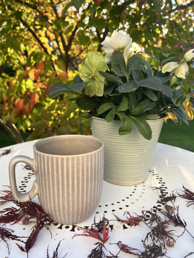 <img loading= Tasse Tee auf Gartentisch mit herbstlichen Blättern – Selfcare, kleine Auszeiten und Stressabbau für Frauen in der Lebensmitte.