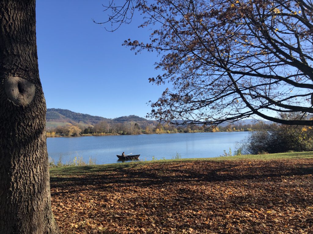 Überlastung und Erschöpfung symbolisiert durch Herbstblätter auf dem Waldboden – Stressbewältigung für Frauen in der Lebensmitte