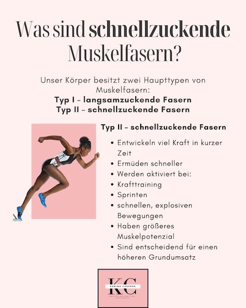 Infografik zur Bedeutung schnellzuckender Muskelfasern (Typ-II) bei sinkendem Östrogenspiegel in den Wechseljahren.