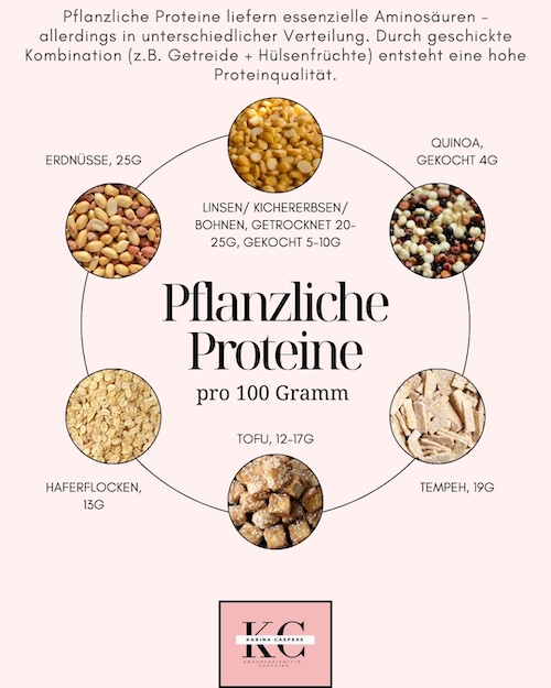 Infografik zur Bedeutung von pflanzlicher Eiweißzufuhr in den Wechseljahren.