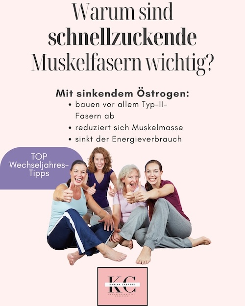 Infografik zur Übersicht schnellzuckender Muskelfasern (Typ-II) bei sinkendem Östrogenspiegel in den Wechseljahren.