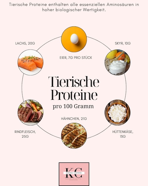 Infografik zur Bedeutung von tierischer Eiweißzufuhr in den Wechseljahren.