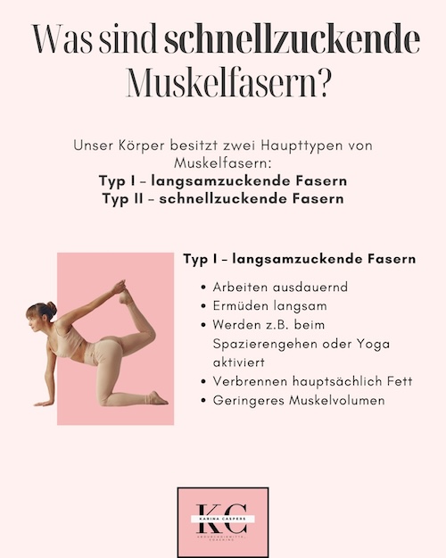 Infografik zur Bedeutung langsamzuckender Muskelfasern (Typ-I) bei sinkendem Östrogenspiegel in den Wechseljahren.